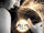 Thomas Bergersen/Sun