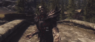 Matt in Skyrim