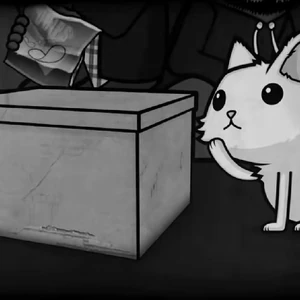 height beast mystery box