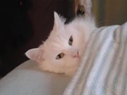 WACKIEST ZACHIEST!.jpg (27 KB) Image uploaded to Facebook December 14, 2013