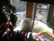 Sunday Afternoon Zach.jpg (63 KB) Image uploaded to Facebook on April 6, 2014