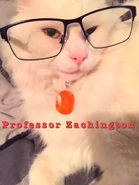 Professor Zachington.jpg (308 KB) Uploaded to Tumblr by Matt's fiancée on Apr 8, 2015.