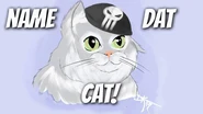 Nat Dat Cat.jpg (28 KB) Thumbnail for the Name Matt's Bomb-Ass Cat video