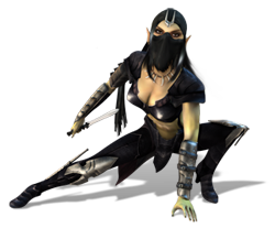 two worlds female character two worlds female character