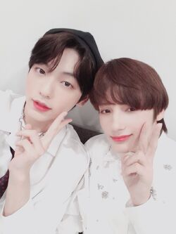 Sookai Gallery Txt Wiki Fandom