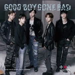 TXT Good Boy Gone Bad Standard
