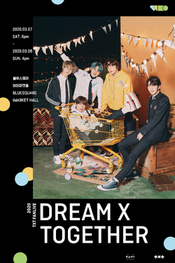 TXT スビン グッズ 公式 2020 デビュー dream together TXT スビン グッズ 公式 2020 デビュー dream together