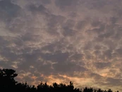 [2020.10.25] 모아 분들 알라뷰💕 이번 활동도 화이팅!!!😆 TXT_BEOMGYU 🐻