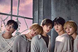 Is 'The Star Chapter: Sanctuary' a sanctuary for the ears