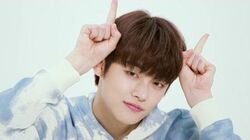 Crown | TXT Wiki | Fandom