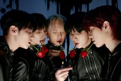 TOMORROW X TOGETHER - TXT ACT:BOY ミニフォト ユニット 2 TOMORROW X TOGETHER、4thミニ・アルバム『minisode 2