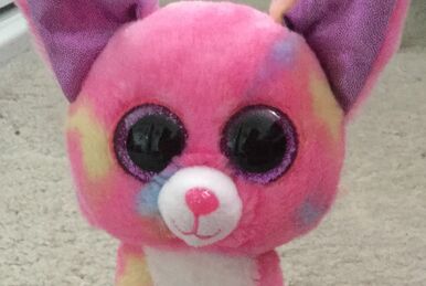Duchess beanie boo hot sale