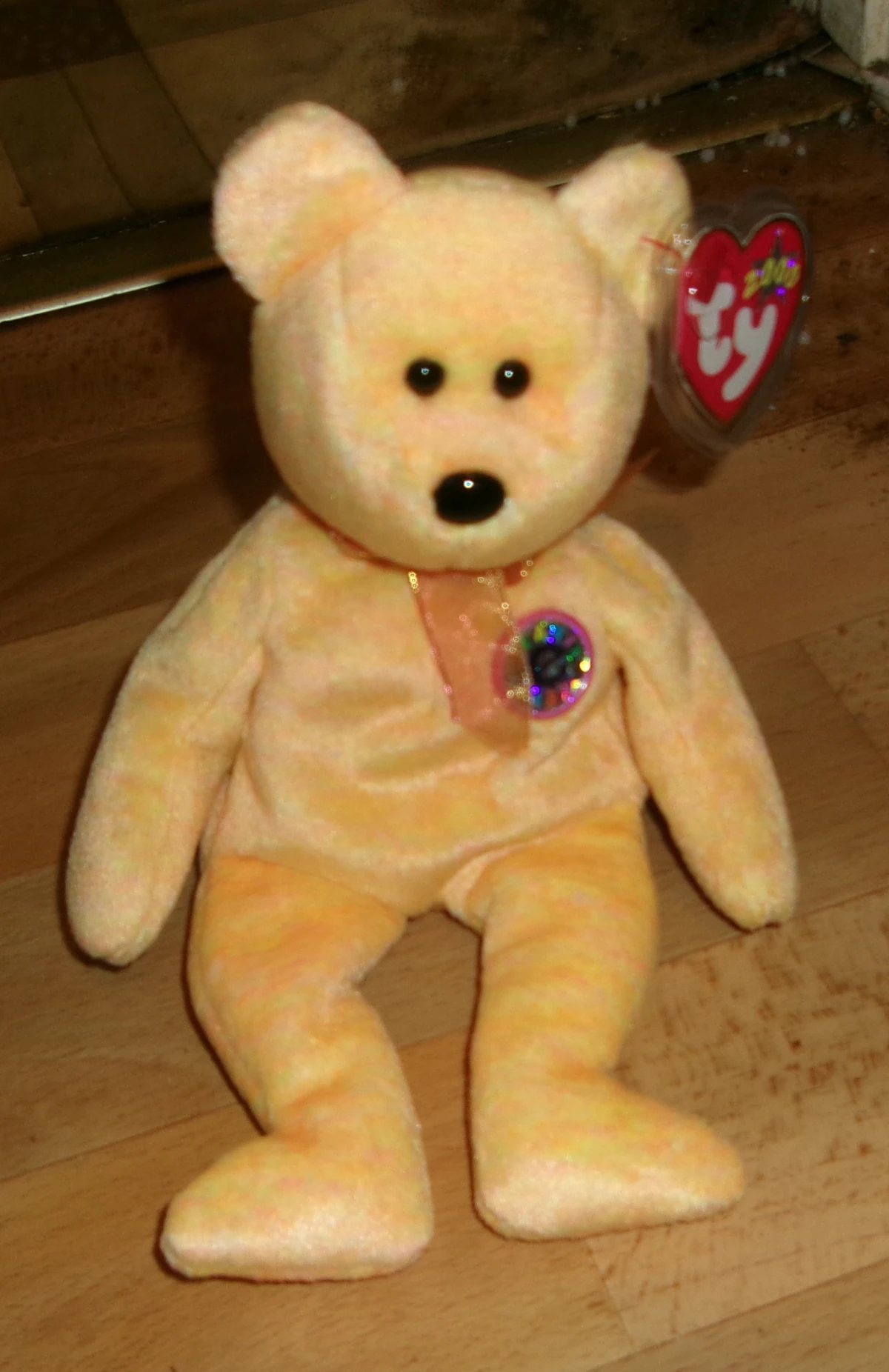 Sunny the Bear (Beanie Babies) TY Beanie Wiki Fandom