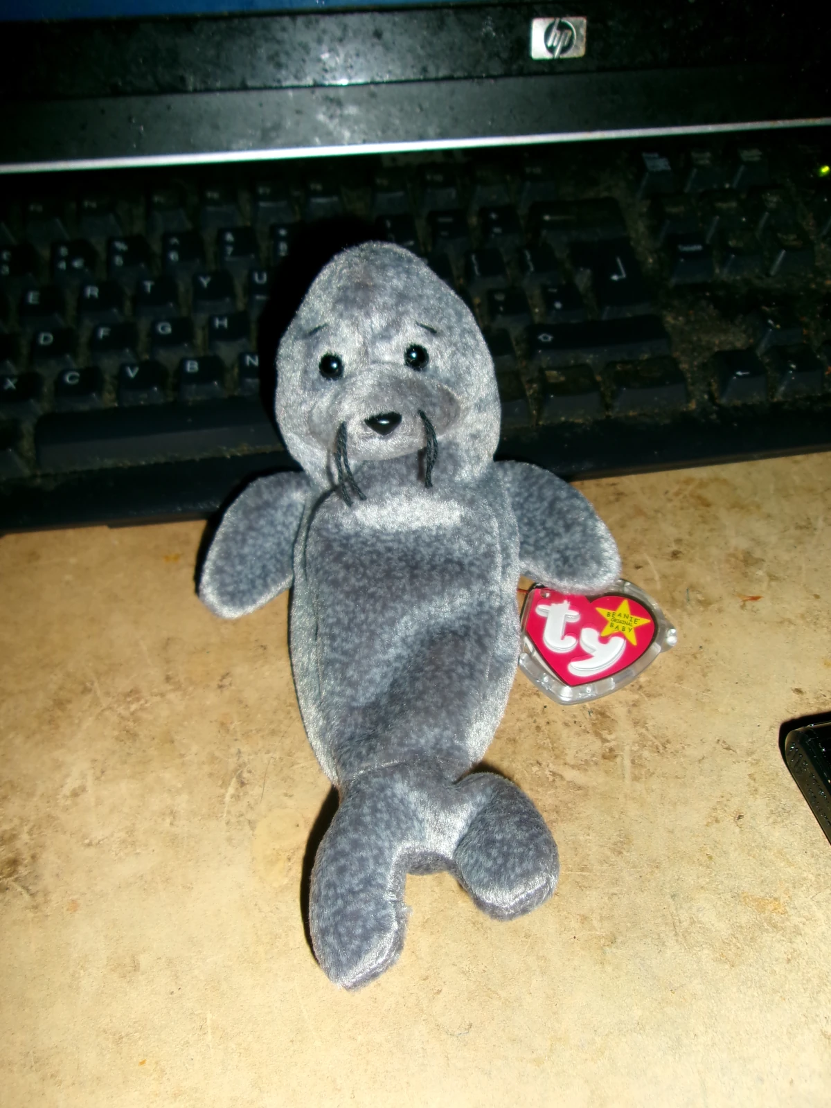 Slippery the seal (Beanie Babies) TY Beanie Wiki Fandom