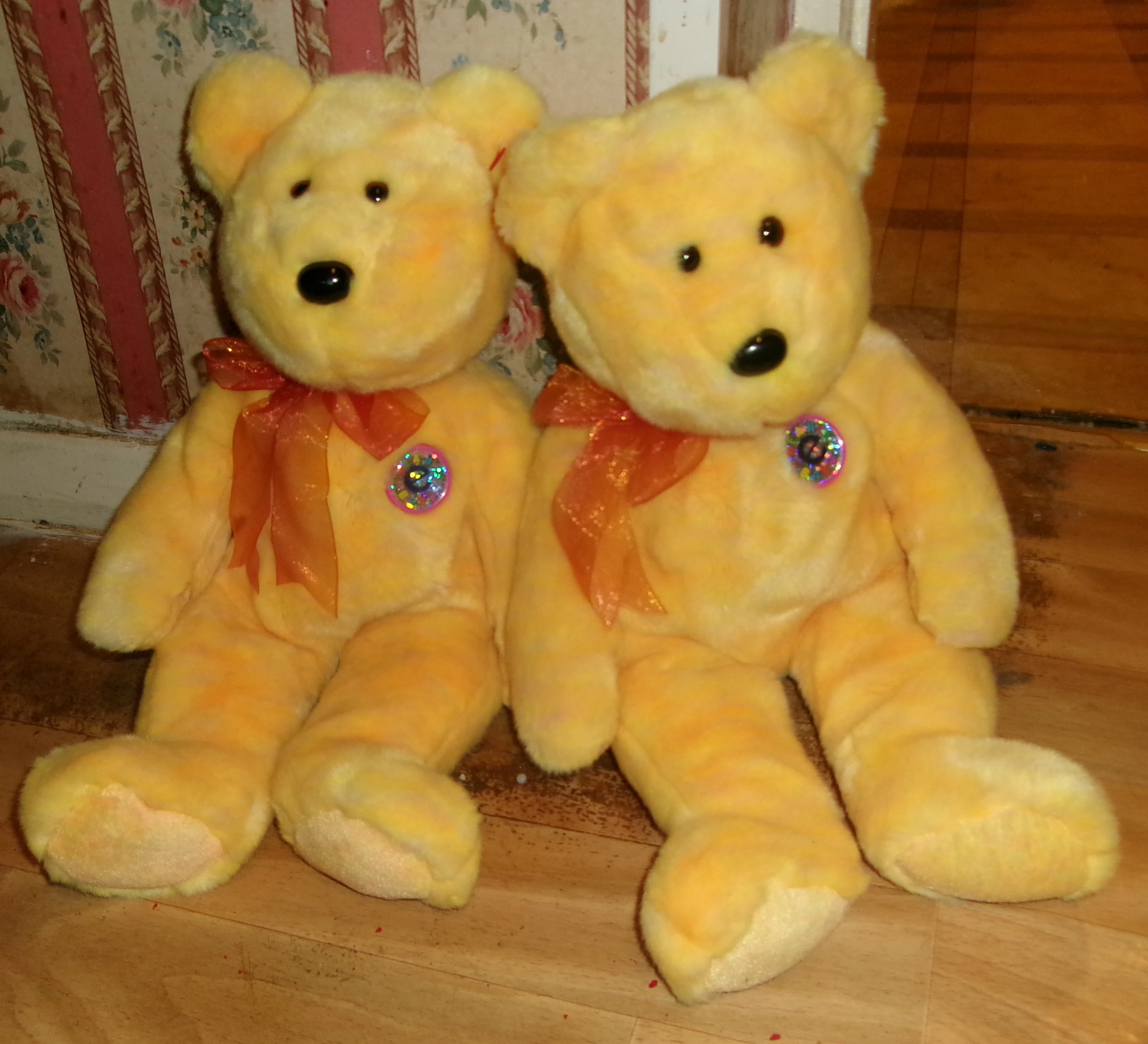 Sunny the Bear (Beanie Babies) | TY Beanie Wiki | Fandom