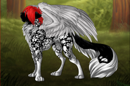 Markings: African Wild; Mutations: Mop Hair, Angel Wings