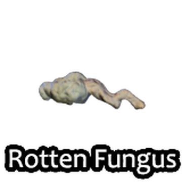 Rotten Fungus | Tyke and Sons Lumber Co. Wiki | Fandom