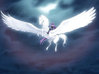 Rider Fate Stay Night Type Moon Wiki Fandom