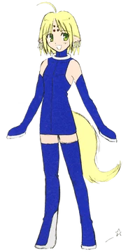 アニメ TYPE-MOON Amazon.com: Type-Moon Fes -10Th Anniversary Blu-Ray Disc Box