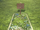 Arthurtomb.png