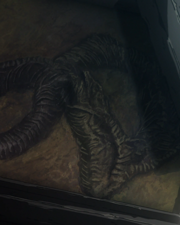 fossilized snake skin type moon wiki