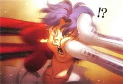 Shinji Matou Type Moon Wiki Fandom