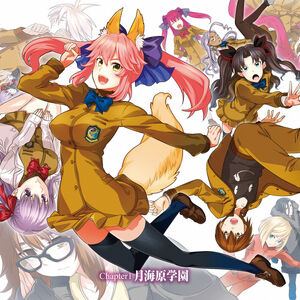Elizabeth Bathory Type Moon Wiki Fandom