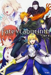 Fate Labyrinth novel cover