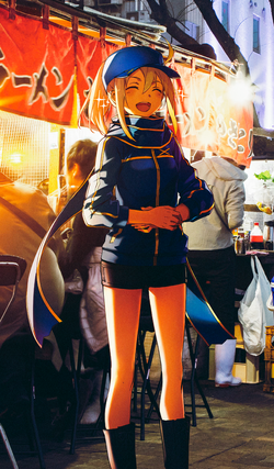 Mysterious Heroine X | TYPE-MOON Wiki | Fandom