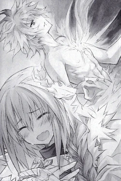 Astolfo Rider Type Moon Wiki Fandom After the death of celenike, he forms a contract with sieg. astolfo rider type moon wiki fandom