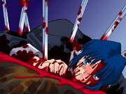 Cielimmortality