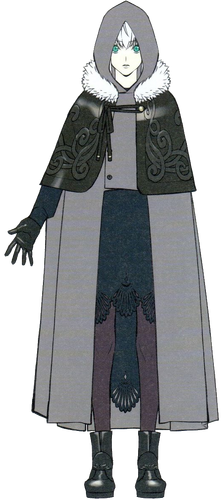 Gray Type Moon Wiki Fandom