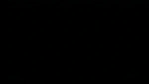 EMIYA's Magic Circuits invading Shirou's body.