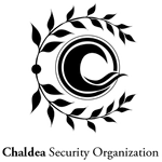 Chaldea Security Organization Type Moon Wiki Fandom
