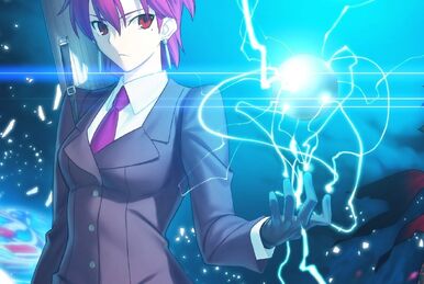 Fate/complete material I・II・III｜エビテン