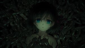 Sakura Matou Type Moon Wiki Fandom Sakura Matou Type Moon Wiki Fandom