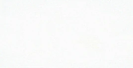 Carolus Patricius Auctoritas