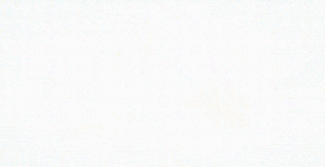 Carolus Patricius Auctoritas.gif