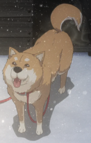 Chris.png
