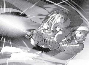 Ergo and Gray with a Caliburn projection created by Shirou Emiya.