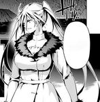 Angelica's winter coat in Fate/kaleid liner PRISMA☆ILLYA 3rei!!.