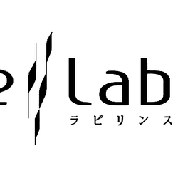 Category Fate Labyrinth Type Moon Wiki Fandom