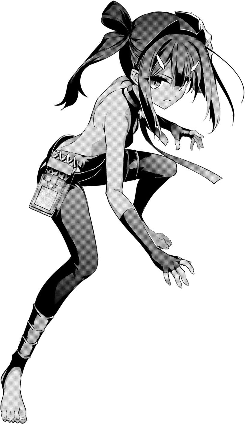Assassin Class Card Hassan Of Serenity Type Moon Wiki Fandom Assassin Class Card Hassan Of Serenity Type Moon Wiki Fandom