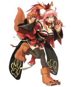 Tamamo Cat | TYPE-MOON Wiki | Fandom