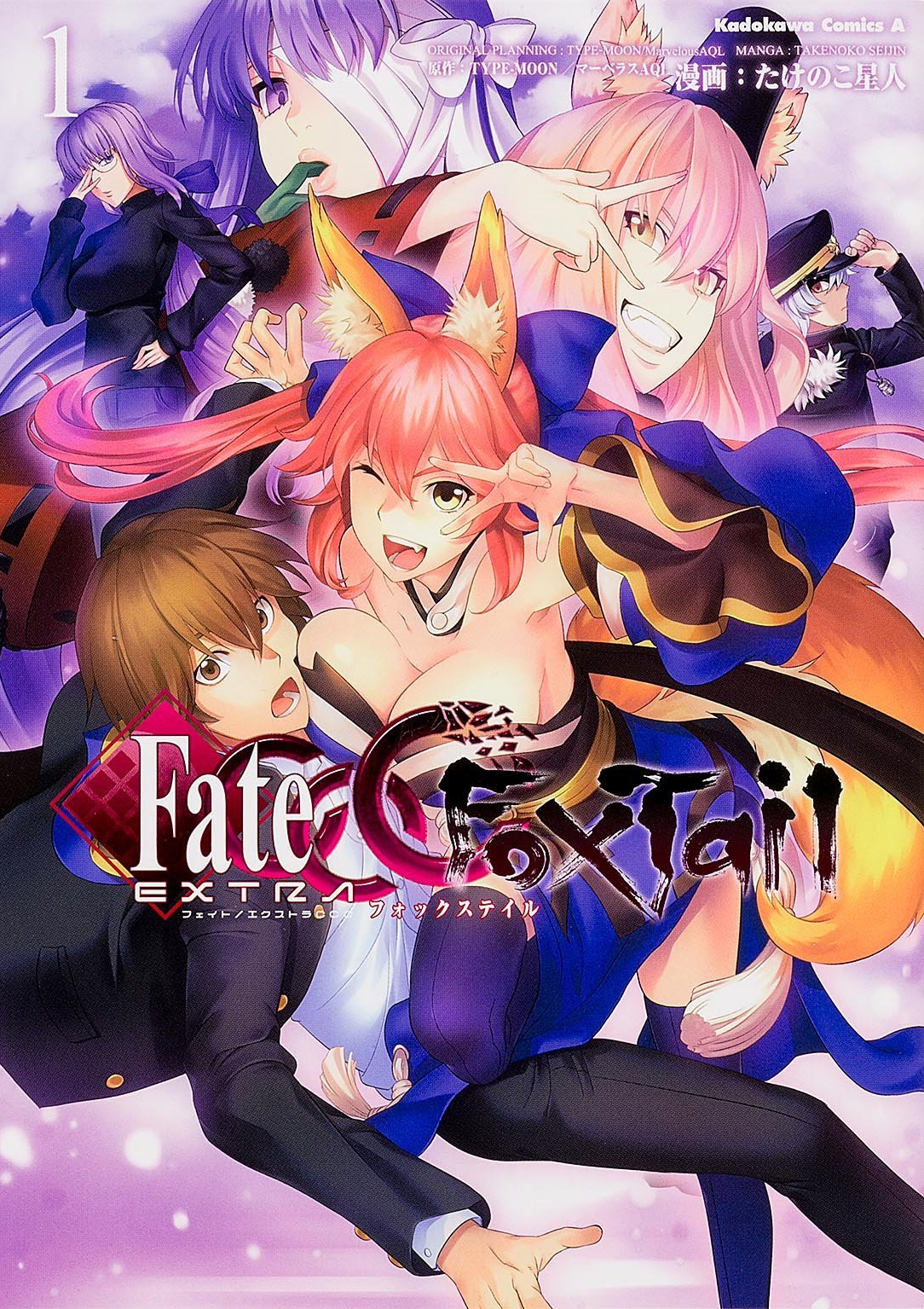 Fate Extra Ccc Fox Tail Type Moon Wiki Fandom