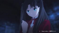 Fate Stay Night Type Moon Wiki Fandom