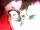 Blades coming out from Shirou's arm.gif