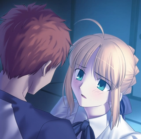 Saber and Shirou (Fate route)