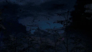 The Shadow regurgitating Saber as Saber Alter.