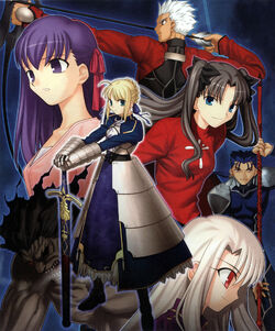 ✓ Fate/stay night